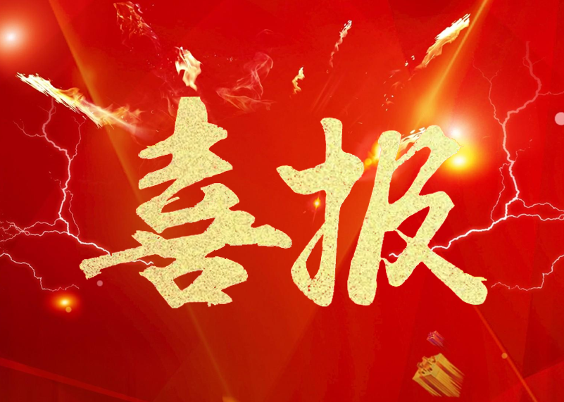 喜报 | 15VIP太阳成显示荣膺LED显示屏行业2019年知名品牌